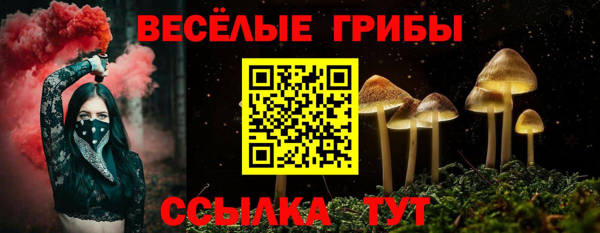 Иваново  Галлюциногенные грибы MAGIC MUSHROOMS  сколько стоит  Вход с VPN 