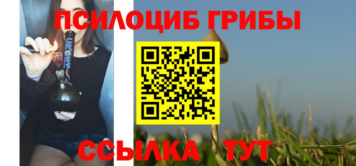 Псилоцибиновые грибы прущие грибы Иваново
